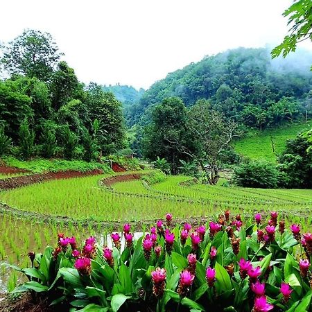 Kowitfarmstay Ban Mae Pan Noi Εξωτερικό φωτογραφία