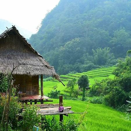 Kowitfarmstay Ban Mae Pan Noi Εξωτερικό φωτογραφία