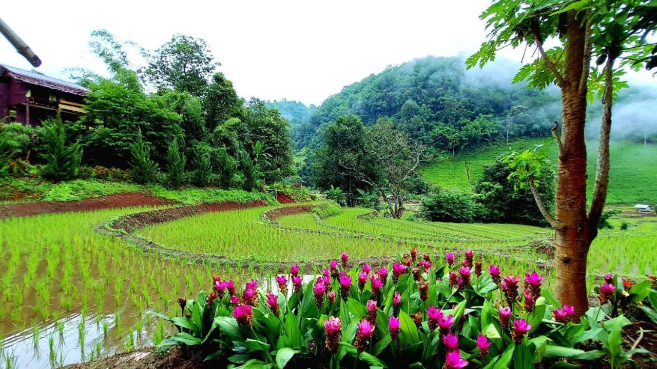 Kowitfarmstay Ban Mae Pan Noi Εξωτερικό φωτογραφία