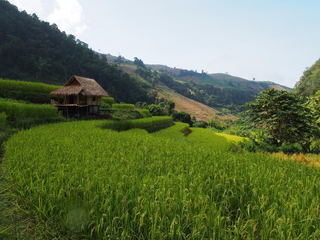 Kowitfarmstay Ban Mae Pan Noi Εξωτερικό φωτογραφία