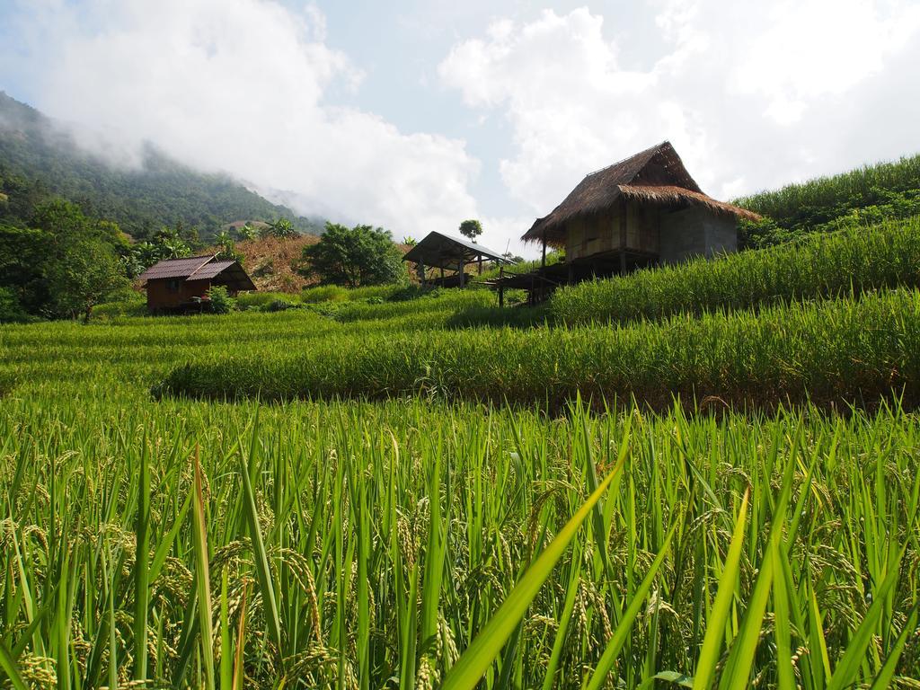 Kowitfarmstay Ban Mae Pan Noi Εξωτερικό φωτογραφία