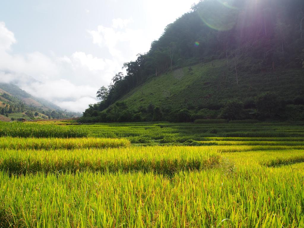 Kowitfarmstay Ban Mae Pan Noi Εξωτερικό φωτογραφία