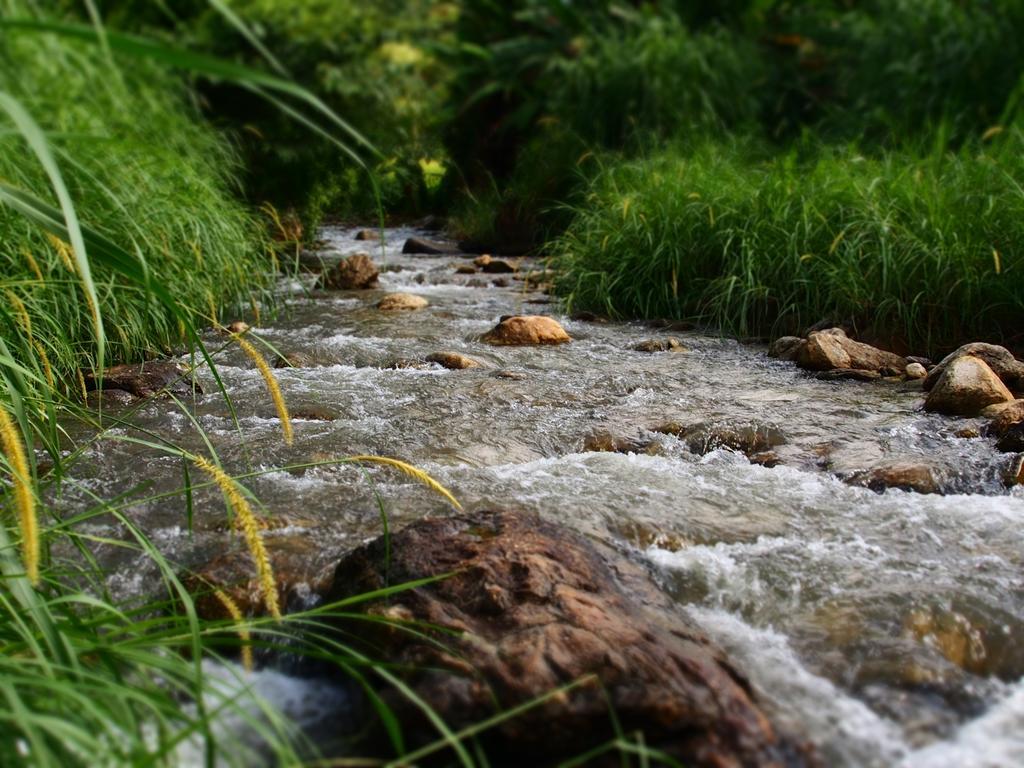 Kowitfarmstay Ban Mae Pan Noi Εξωτερικό φωτογραφία
