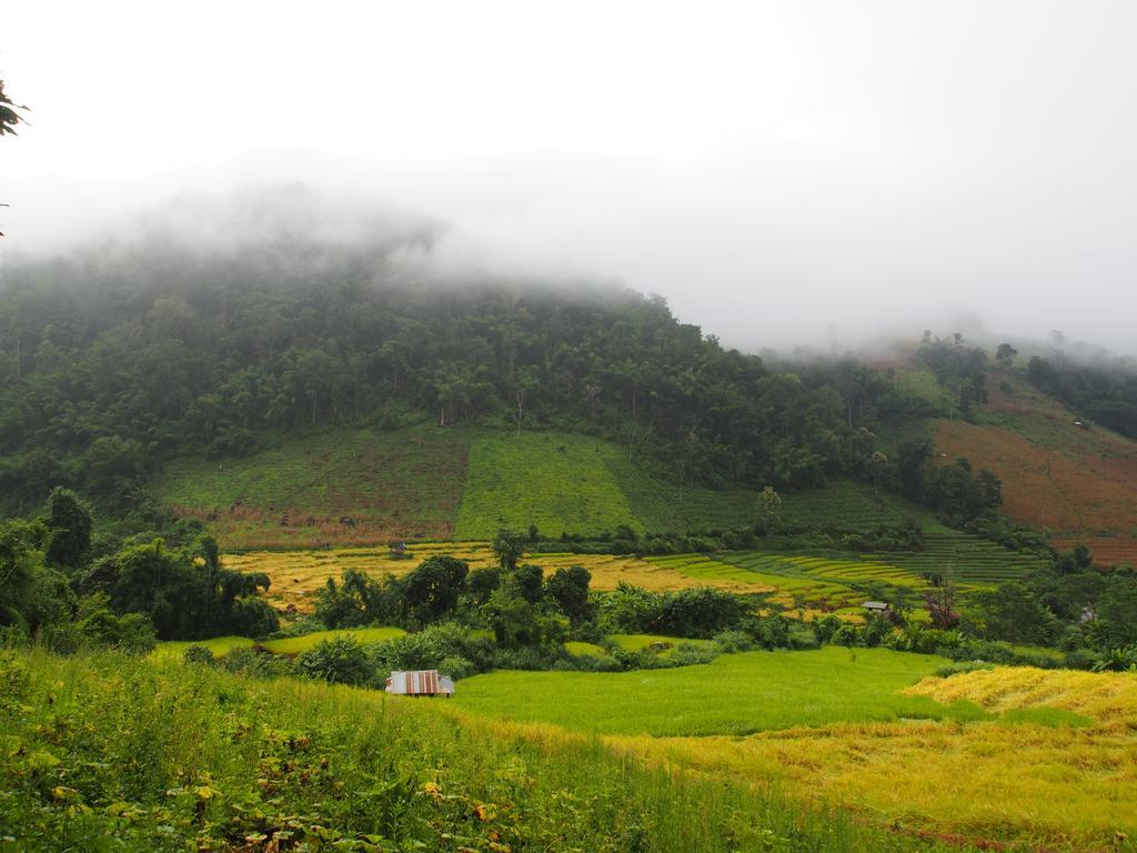 Kowitfarmstay Ban Mae Pan Noi Εξωτερικό φωτογραφία