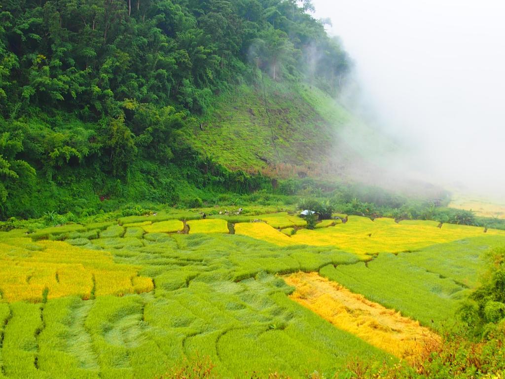 Kowitfarmstay Ban Mae Pan Noi Εξωτερικό φωτογραφία