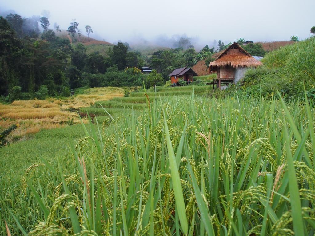 Kowitfarmstay Ban Mae Pan Noi Εξωτερικό φωτογραφία