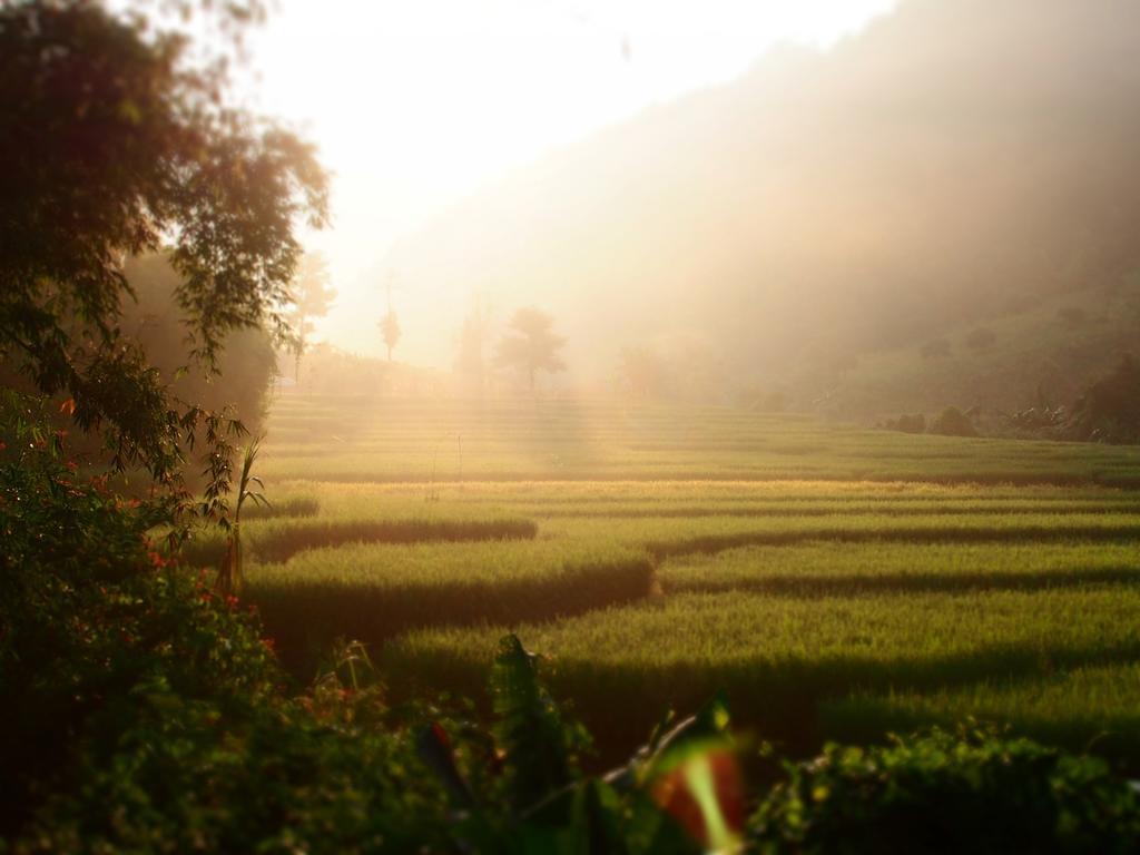 Kowitfarmstay Ban Mae Pan Noi Εξωτερικό φωτογραφία