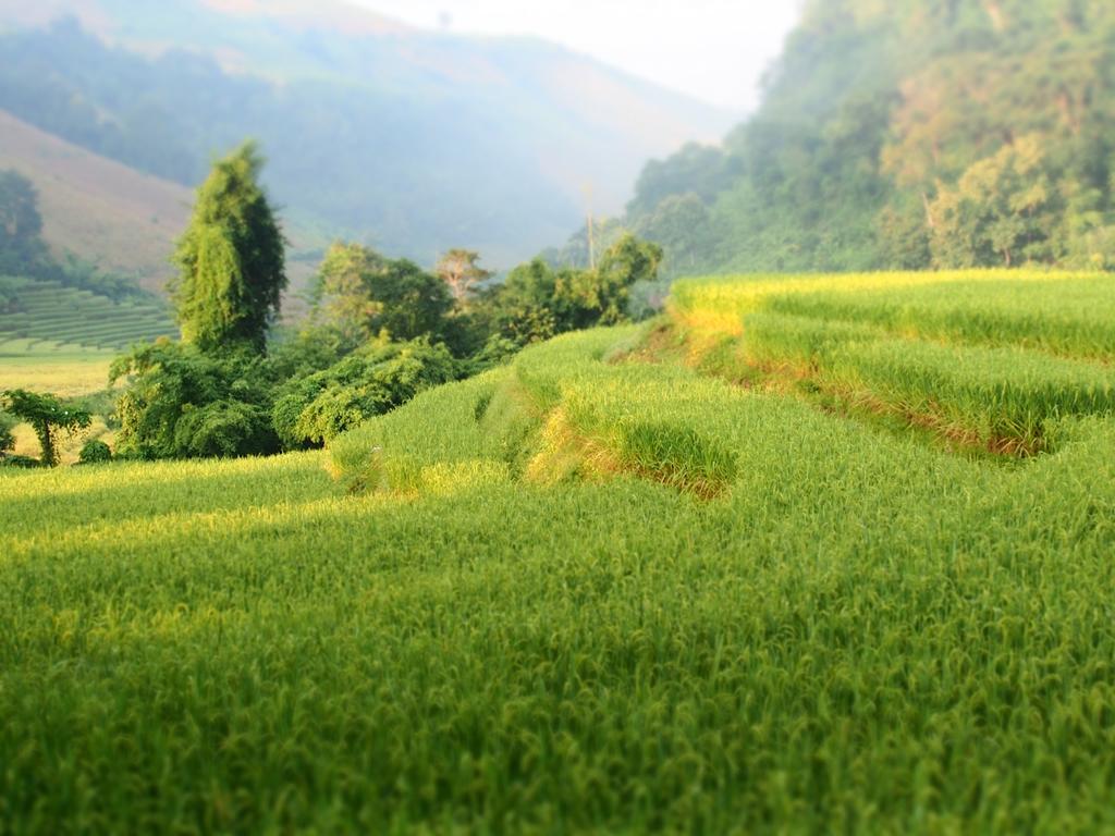Kowitfarmstay Ban Mae Pan Noi Εξωτερικό φωτογραφία