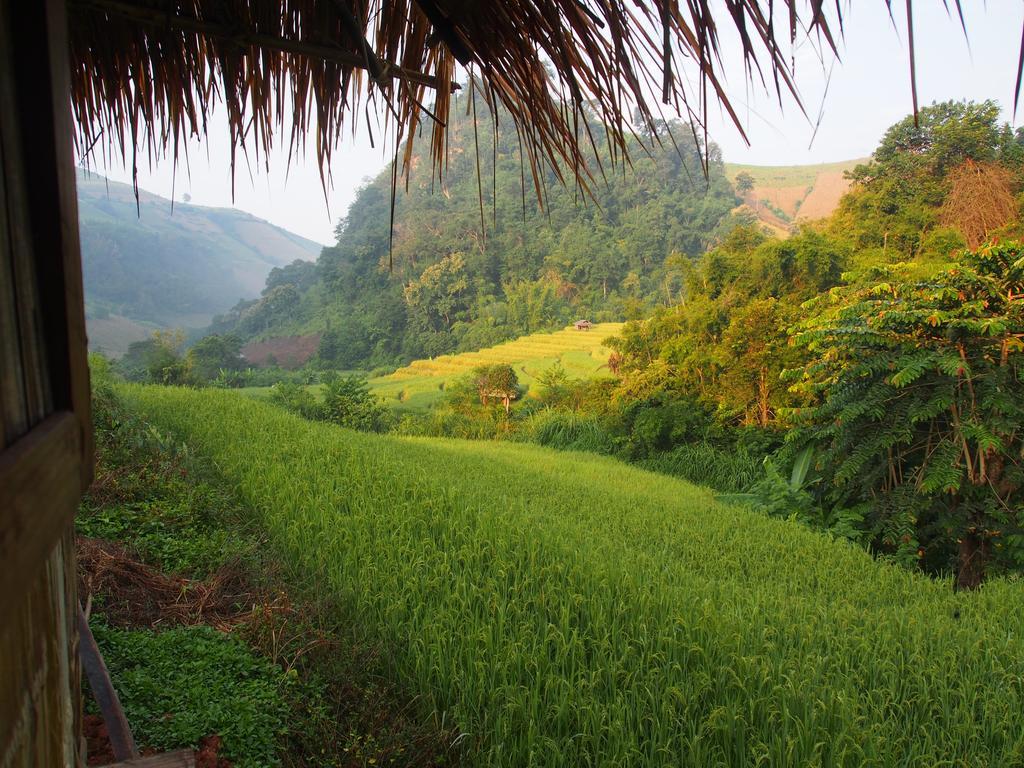 Kowitfarmstay Ban Mae Pan Noi Εξωτερικό φωτογραφία