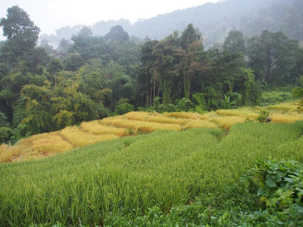Kowitfarmstay Ban Mae Pan Noi Εξωτερικό φωτογραφία