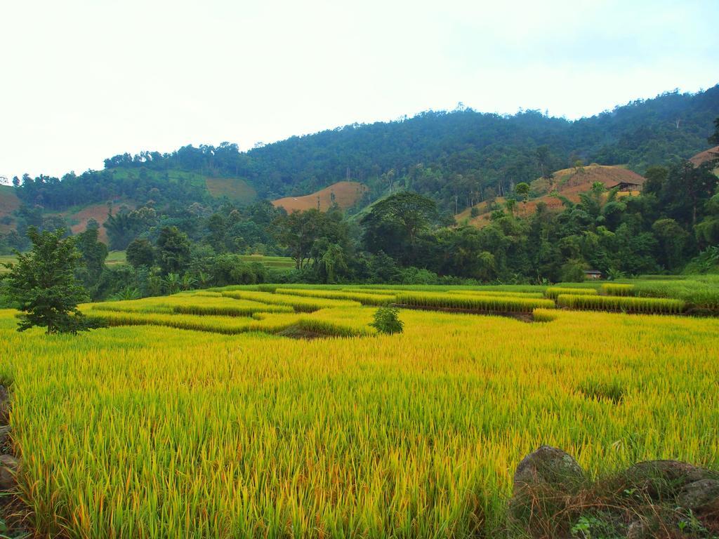 Kowitfarmstay Ban Mae Pan Noi Εξωτερικό φωτογραφία