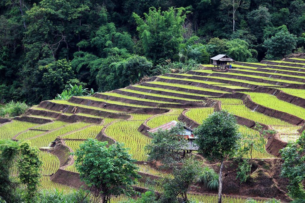 Kowitfarmstay Ban Mae Pan Noi Εξωτερικό φωτογραφία