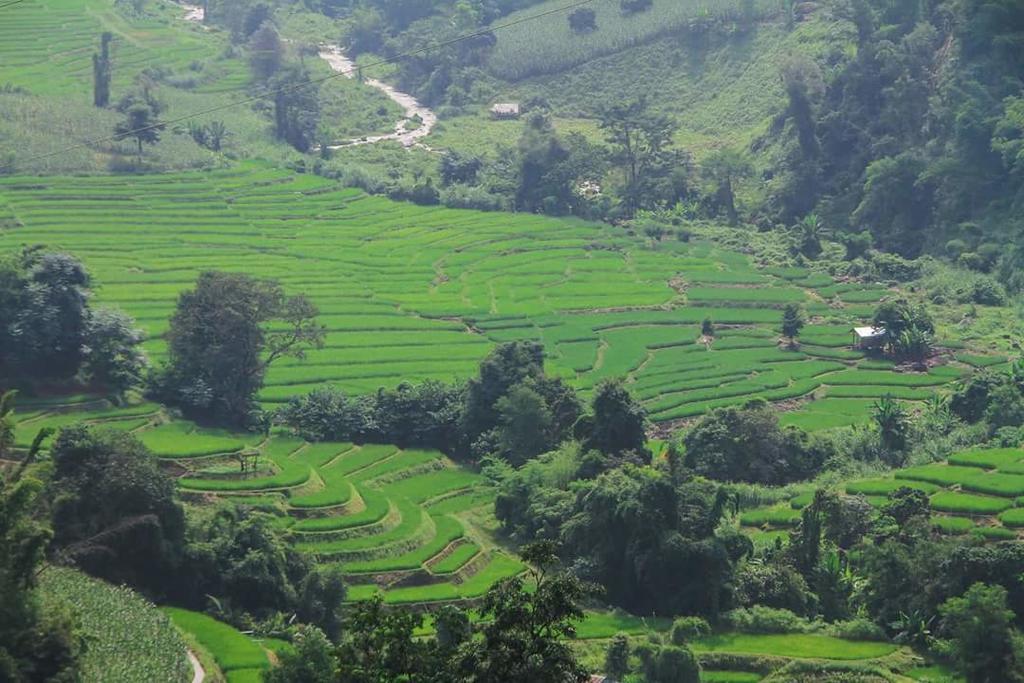 Kowitfarmstay Ban Mae Pan Noi Εξωτερικό φωτογραφία