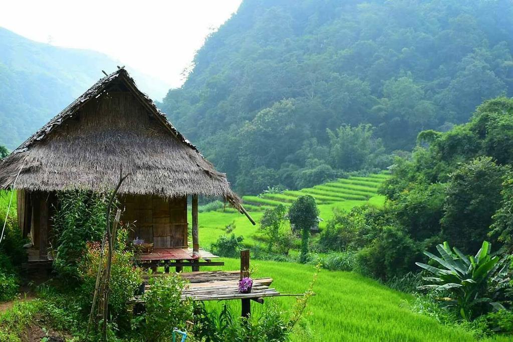 Kowitfarmstay Ban Mae Pan Noi Εξωτερικό φωτογραφία