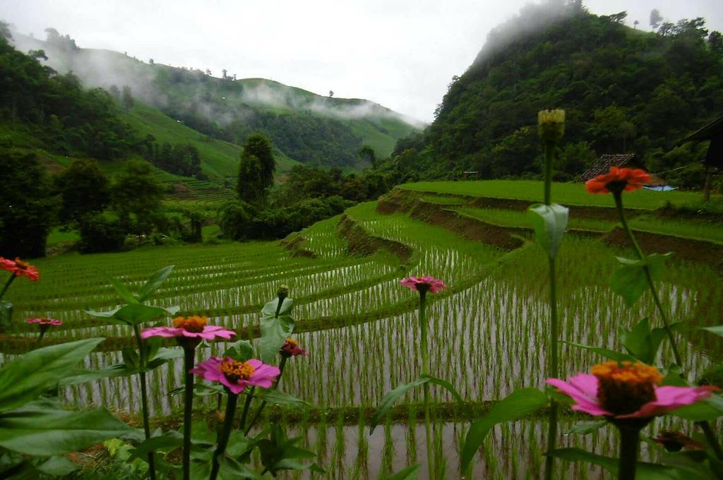 Kowitfarmstay Ban Mae Pan Noi Εξωτερικό φωτογραφία