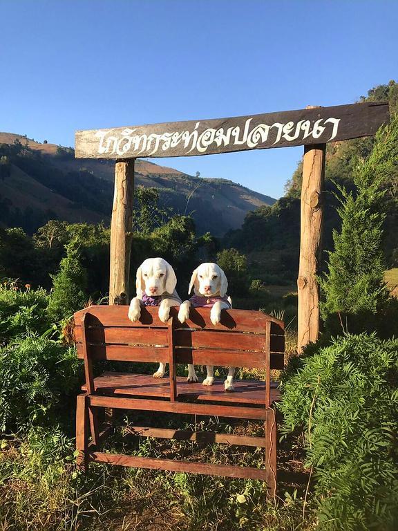 Kowitfarmstay Ban Mae Pan Noi Εξωτερικό φωτογραφία