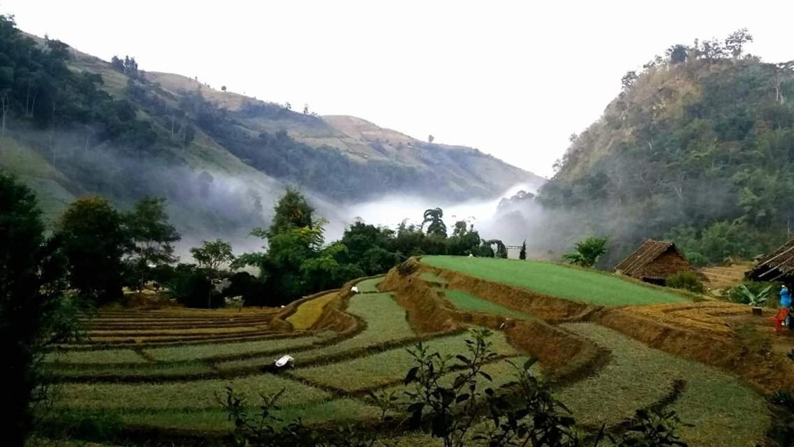 Kowitfarmstay Ban Mae Pan Noi Εξωτερικό φωτογραφία